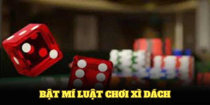 Bật mí luật chơi xì dách cùng các mẹo quan trọng 